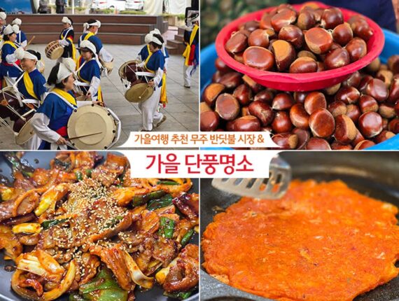 가을 여행 추천 무주 반딧불 시장 & 가을 단풍 명소