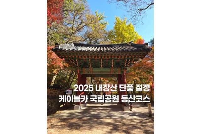 내장산단풍 국립공원 케이블카 등산코스 2025 실시간 정읍여행