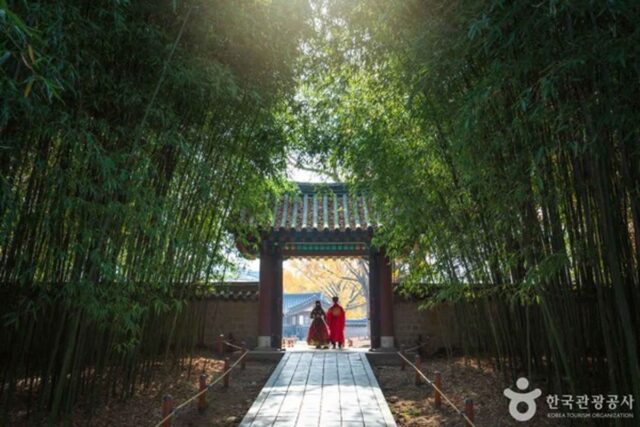 전주 가볼 만한 곳, 고즈넉한 한옥의 정취와 이색적인 맛을 찾아서