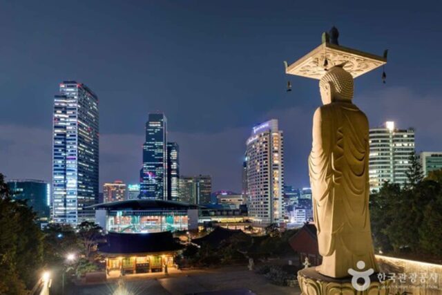 서울 강남, 문화와 맛이 어우러진 가을산책