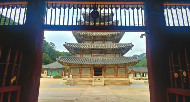 충북 보은 가볼만한 곳 속리산 법주사 문장대 일출 세조길 단풍