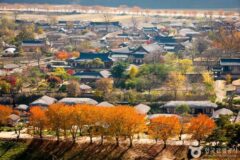 안동 가볼 만한 곳, 고풍스러운 매력과 현대적 감성이 공존하는 길