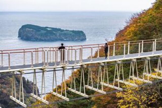 “34억 들일만 했네” 해안 절벽과 바다 사이, 94.6m 높이 울렁다리