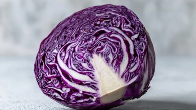 적양배추 효능 및 부작용, 요리에 활용하는 법 알려드립니다