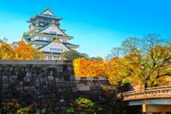 “한국보다 한 박자 늦는” 오사카 단풍, 꼭 가야 할 가을 명소 4곳