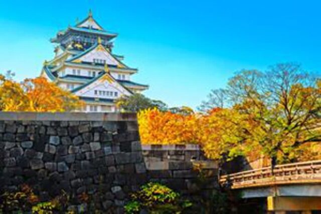 “한국보다 한 박자 늦는” 오사카 단풍, 꼭 가야 할 가을 명소 4곳