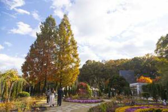 “여긴 그냥 걸어도 힐링이 터집니다” 조용히 떠오르는 경기도 숲길 4