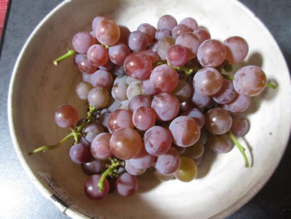 이 과일 밤에 먹지 마세요. 간이 쉬지 못해서 노화가 두 배 빨라집니다