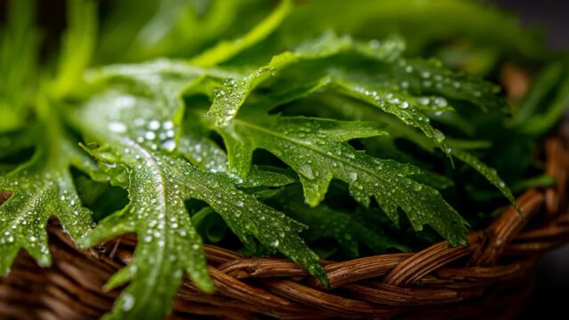 쑥갓 효능, 쑥갓 섭취 시 주의해야 할 사람 알려드립니다