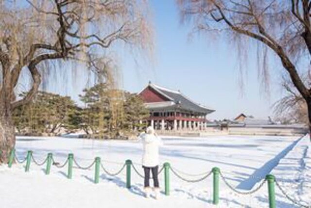 서울 첫눈, 올해는 과연 언제쯤? 2025 예측 리포트