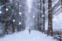 “연말에 서울은 사람 보러 가는 거지” 크리스마스 사람 없는 데이트 코스 3