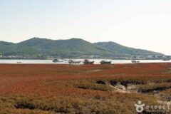 늦가을 가볼 만한 곳, 인천 강화도 붉게 물드는 노을과 오션 뷰 카페 그리고 고즈넉한 산사까지