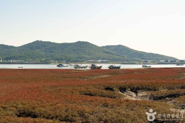 늦가을 가볼 만한 곳, 인천 강화도 붉게 물드는 노을과 오션 뷰 카페 그리고 고즈넉한 산사까지