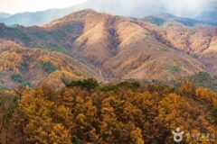 가을 끝자락 즐기는 방법! 강원도서 케이블카 타고 절경 만끽