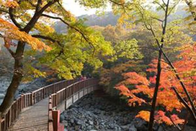 “단풍 끝난 줄 알았죠?” 늦가을에도 불타는 만추 명소 4