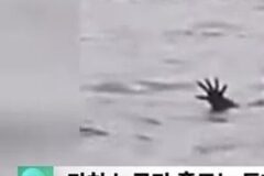 인간을 잡아먹기 위해 속임수를 학습한 악어