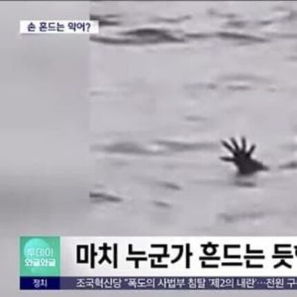 인간을 잡아먹기 위해 속임수를 학습한 악어