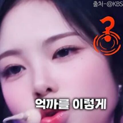 실력 억까를 정면돌파한 아이돌