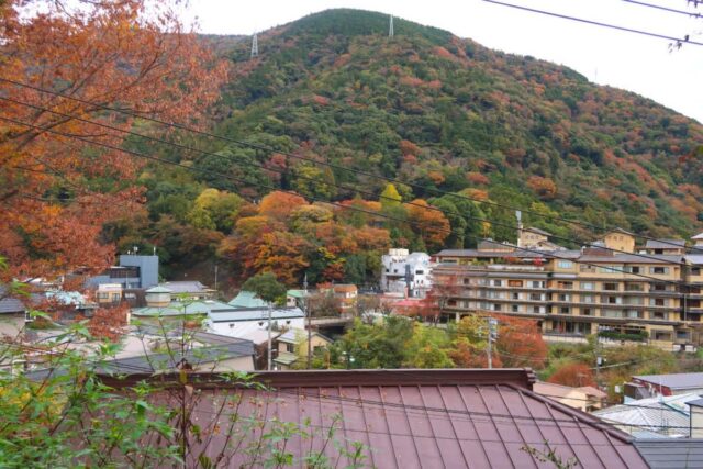 시간 없어도 온천은 하고 싶어! 하코네 당일 온천 3