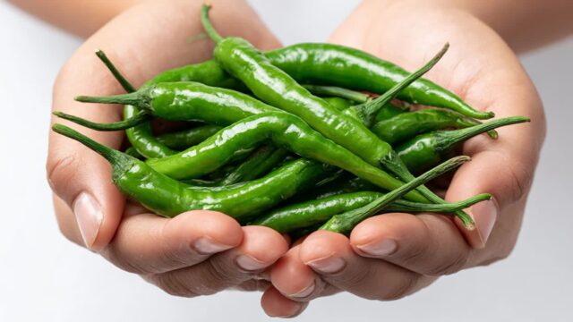 땡초 보관법, 금방 물러지지 않게 방지하는 꿀팁 공개합니다