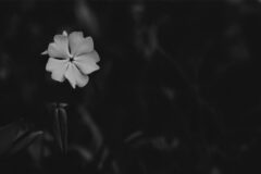 “반드시 숨겨라” 자식에게 죽을 때까지 숨겨야 하는 비밀 4가지