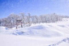 “식었던 마음도 다시 뛰었어요” 크리스마스 이브 데이트 국내 여행지 추천