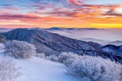 상고대 명소 베스트 4 첫눈 내리는 도시보다 아름다운 겨울 산 추천