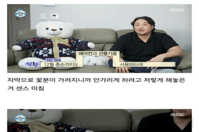나혼자산다 자막 근황