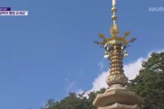 현재 반응 너무 좋다는 평창 김장 축제