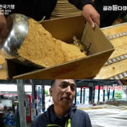 피해자들의 진술이 일관적인 영상