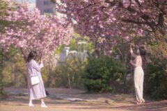 “데이트도, 혼행도 OK” 현지인도 사랑하는 동작구 숨은 명소 5