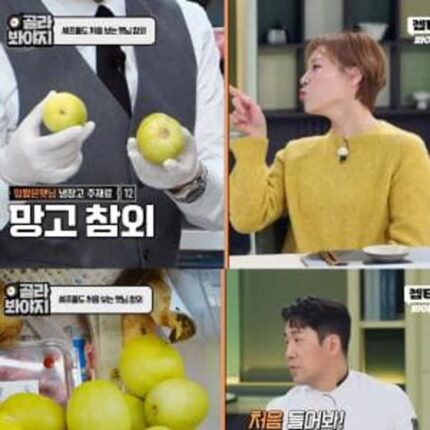 냉부해 셰프들도 존맛이라 놀란 입짧은햇님의 망고 참외