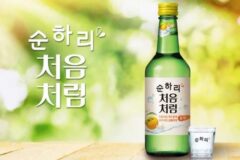 90년대생 중 이 술들로 입문한 사람들 많음