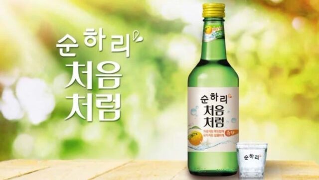 90년대생 중 이 술들로 입문한 사람들 많음