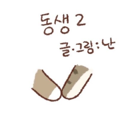 공감하는 자매들 많을것같은 인스타툰