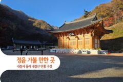 정읍 가볼 만한 곳 내장사 들러 내장산 단풍 구경