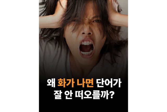 “왜 화가 나면 단어가 잘 안 떠오를까?”