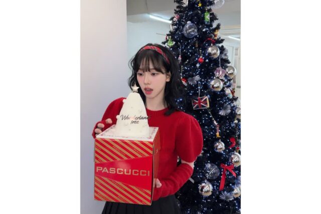 에스파 카리나, 크리스마스 케이크보다 러블리한 비주얼