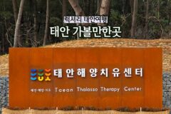 태안 가볼만한곳 해양치유센터 럭셔리 태안여행