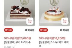 올해도 (무사히) 나온 가성비 홈플러스 크리스마스 케이크 라인업