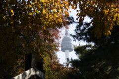 ‘K컬처 효과’ 서울, 세계 여행지 첫 10위… “체류 기간·지속가능성은 숙제”