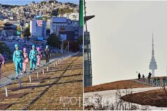 서울을 가장 입체적으로 즐기는 법! 만족도 97% 서울 핫플 ‘DDP 루프탑 투어’