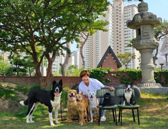 “개팔자가 상팔자”… 리치언니 박세리의 초호화 반려견 하우스 공개