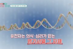 이기적 유전자인 인간이 자식을 사랑하고 희생하는 이유