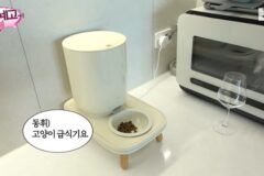 [핑계고] 고양이 집사 이동휘한테 너무하다는 지석진