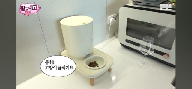 [핑계고] 고양이 집사 이동휘한테 너무하다는 지석진
