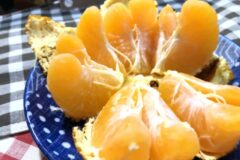 아무리 맛있어도 “귤과 이 음식” 같이 먹지마세요 궁합 최악입니다.