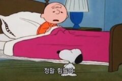 독립한 이후에 느껴지는 ’집에 와서 쉬어‘의 차이