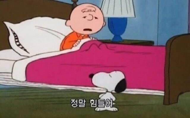 독립한 이후에 느껴지는 ’집에 와서 쉬어‘의 차이