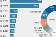 식어가는 한국인의 벤츠 사랑